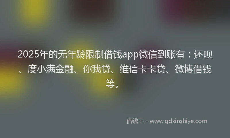 2025年的无年龄限制借钱app微信到账有：还呗、度小满金融、你我贷、维信卡卡贷、微博借钱等。