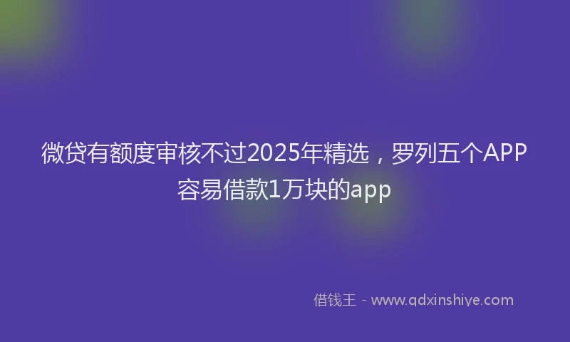 微贷有额度审核不过2025年精选，罗列五个APP容易借款1万块的app