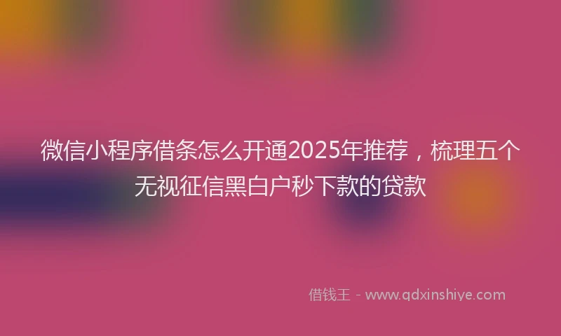 微信小程序借条怎么开通2025年推荐，梳理五个无视征信黑白户秒下款的贷款
