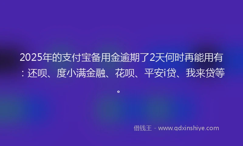 2025年的支付宝备用金逾期了2天何时再能用有：还呗、度小满金融、花呗、平安i贷、我来贷等。