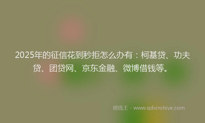 2025年的征信花到秒拒怎么办有：柯基贷、功夫贷、团贷网、京东金融、微博借钱等。