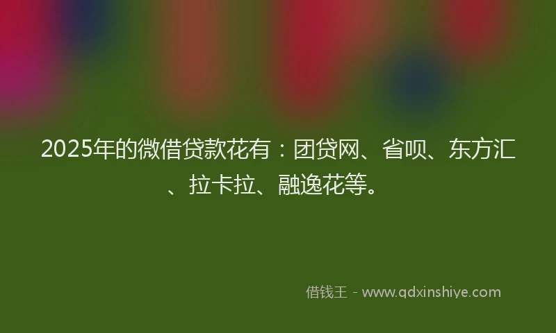 2025年的微借贷款花有：团贷网、省呗、东方汇、拉卡拉、融逸花等。