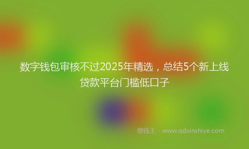数字钱包审核不过2025年精选，总结5个新上线贷款平台门槛低口子