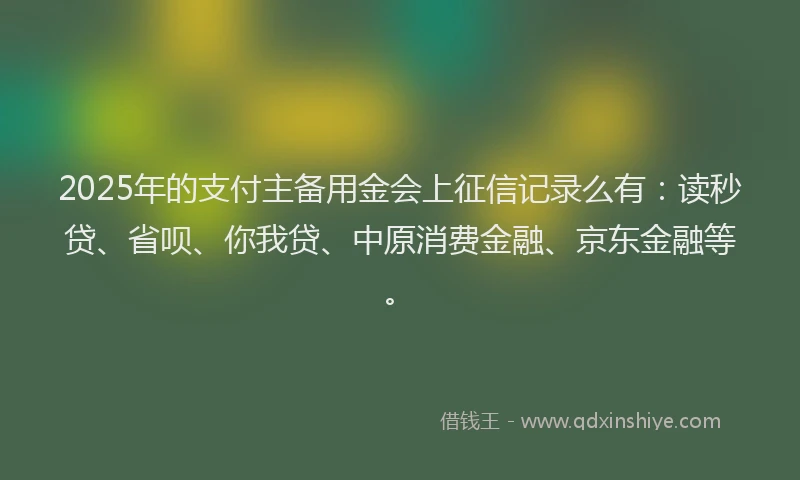 2025年的支付主备用金会上征信记录么有:读秒贷、省呗、你我贷、中原消费金融、京东金融等。