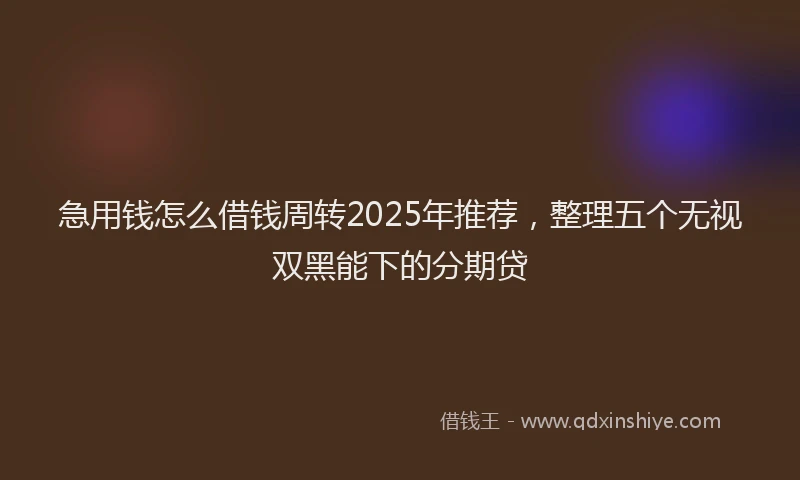 急用钱怎么借钱周转2025年推荐，整理五个无视双黑能下的分期贷