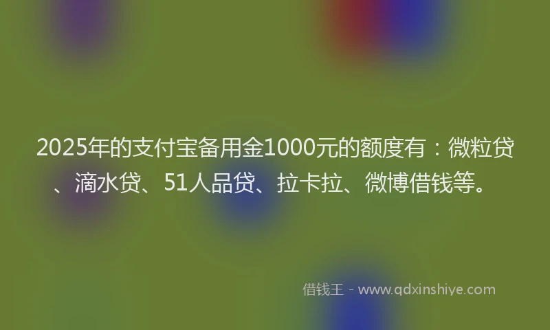 2025年的支付宝备用金1000元的额度有：微粒贷、滴水贷、51人品贷、拉卡拉、微博借钱等。
