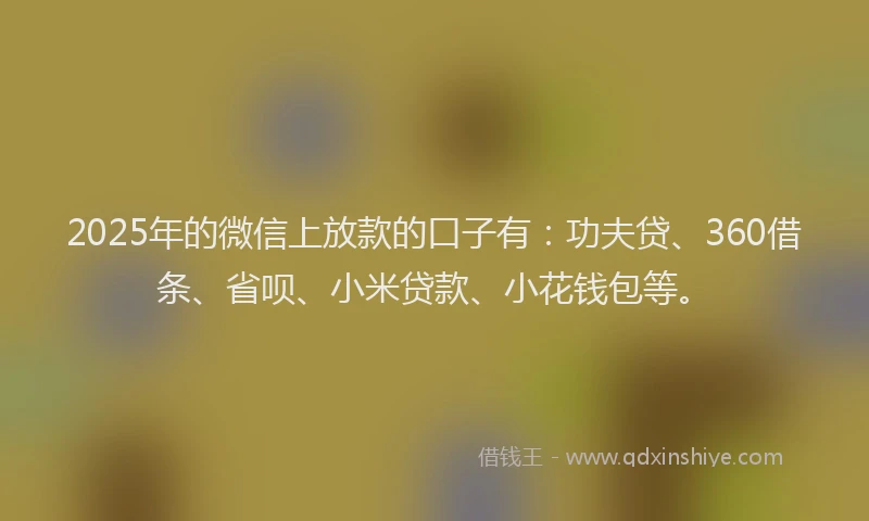 2025年的微信上放款的口子有：功夫贷、360借条、省呗、小米贷款、小花钱包等。