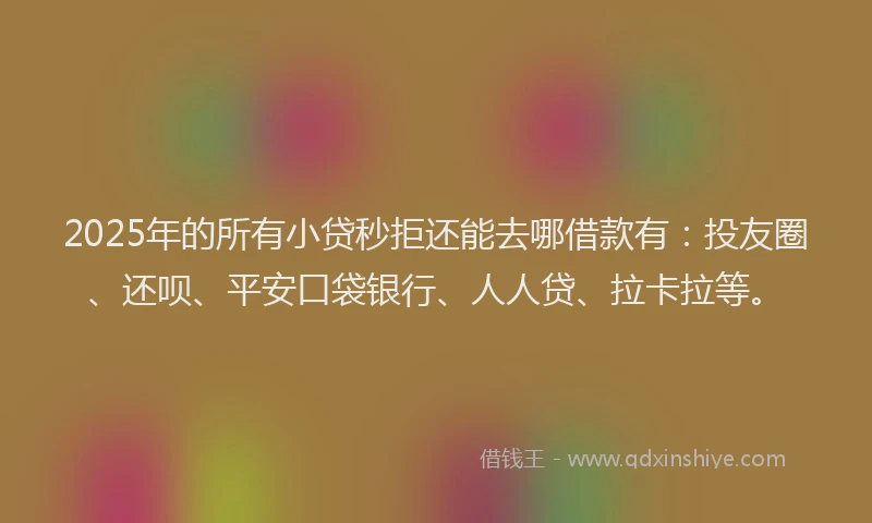 2025年的所有小贷秒拒还能去哪借款有：投友圈、还呗、平安口袋银行、人人贷、拉卡拉等。