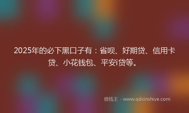 2025年的必下黑口子有:省呗、好期贷、信用卡贷、小花钱包、平安i贷等。