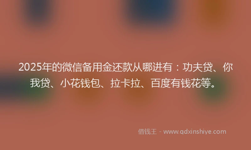 2025年的微信备用金还款从哪进有：功夫贷、你我贷、小花钱包、拉卡拉、百度有钱花等。