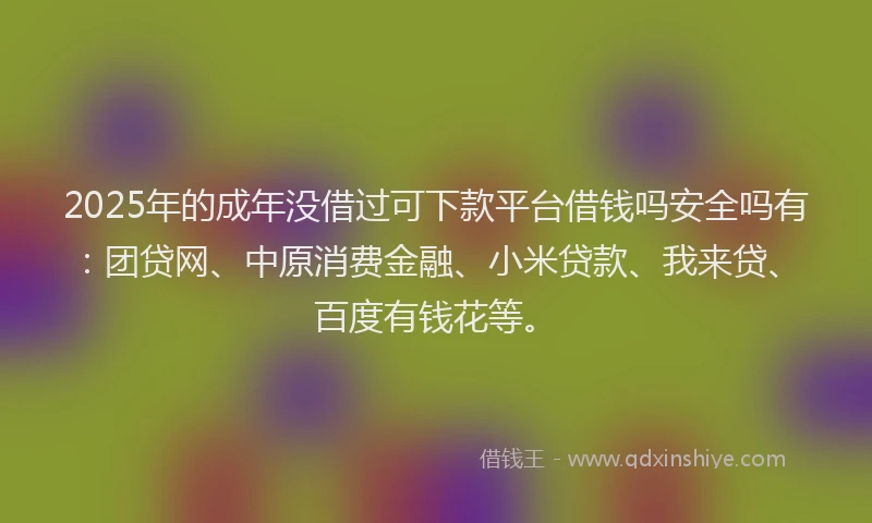 2025年的成年没借过可下款平台借钱吗安全吗有：团贷网、中原消费金融、小米贷款、我来贷、百度有钱花等。