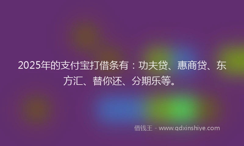 2025年的支付宝打借条有：功夫贷、惠商贷、东方汇、替你还、分期乐等。