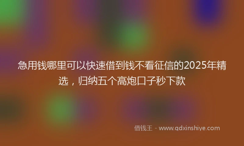 急用钱哪里可以快速借到钱不看征信的2025年精选，归纳五个高炮口子秒下款