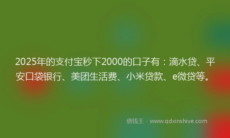2025年的支付宝秒下2000的口子有：滴水贷、平安口袋银行、美团生活费、小米贷款、e微贷等。
