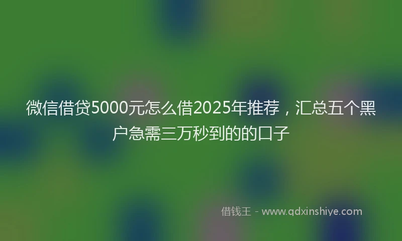 微信借贷5000元怎么借2025年推荐，汇总五个黑户急需三万秒到的的口子