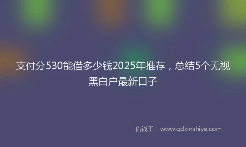 支付分530能借多少钱2025年推荐，总结5个无视黑白户最新口子