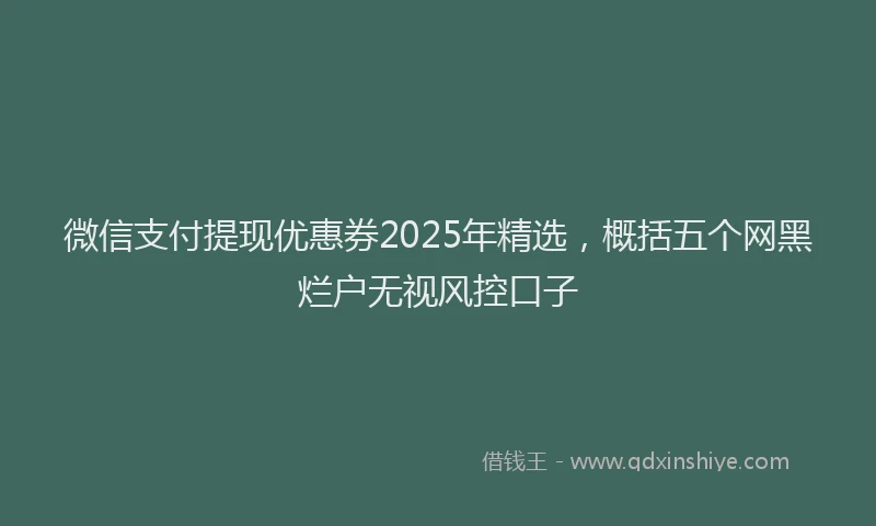 微信支付提现优惠券2025年精选，概括五个网黑烂户无视风控口子