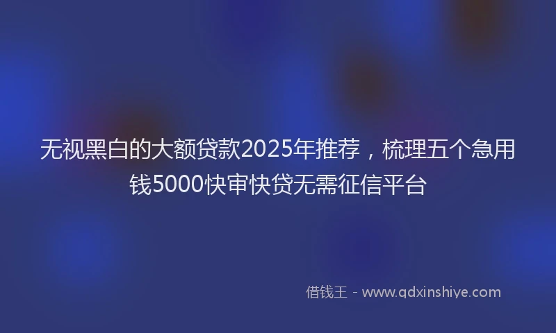 无视黑白的大额贷款2025年推荐，梳理五个急用钱5000快审快贷无需征信平台