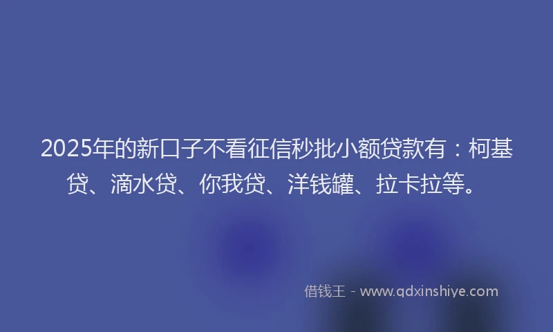 2025年的新口子不看征信秒批小额贷款有：柯基贷、滴水贷、你我贷、洋钱罐、拉卡拉等。