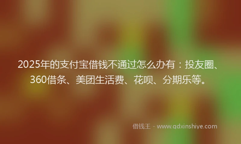 2025年的支付宝借钱不通过怎么办有：投友圈、360借条、美团生活费、花呗、分期乐等。
