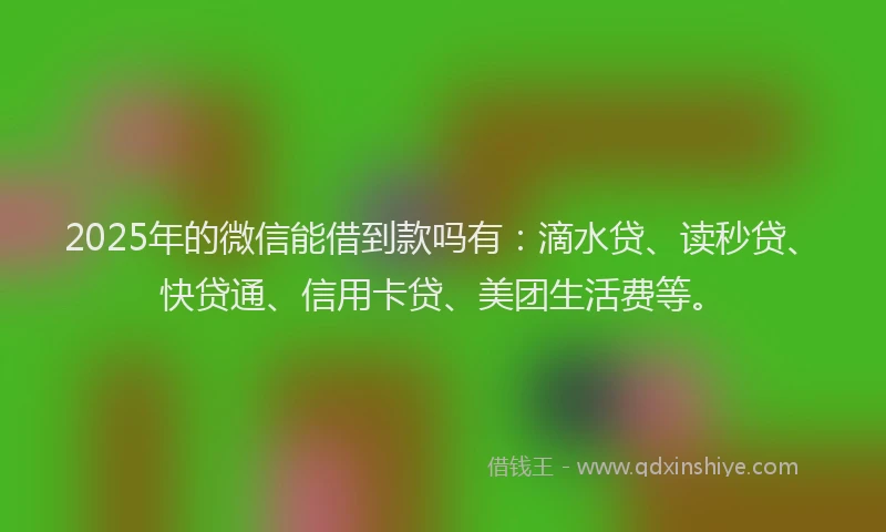 2025年的微信能借到款吗有：滴水贷、读秒贷、快贷通、信用卡贷、美团生活费等。