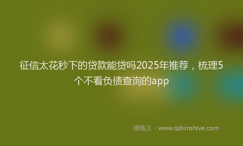 征信太花秒下的贷款能贷吗2025年推荐，梳理5个不看负债查询的app