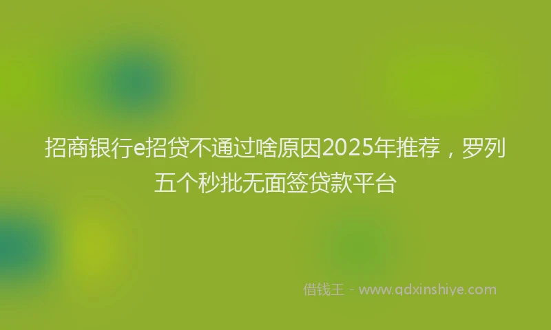 招商银行e招贷不通过啥原因2025年推荐，罗列五个秒批无面签贷款平台