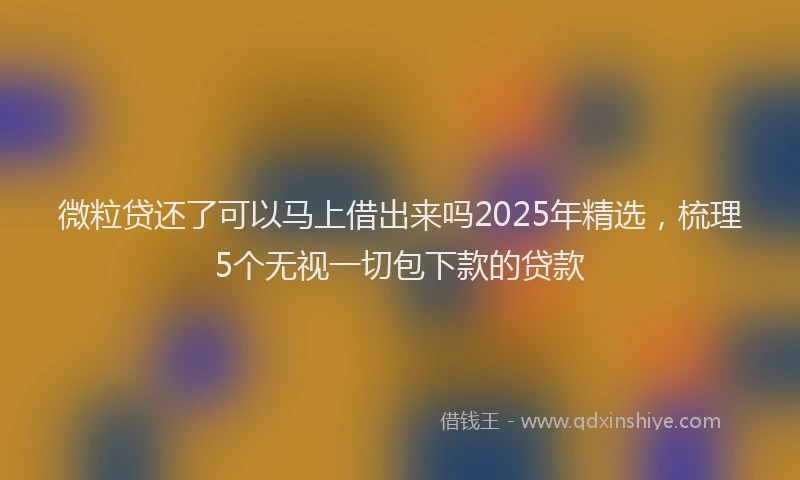 微粒贷还了可以马上借出来吗2025年精选，梳理5个无视一切包下款的贷款