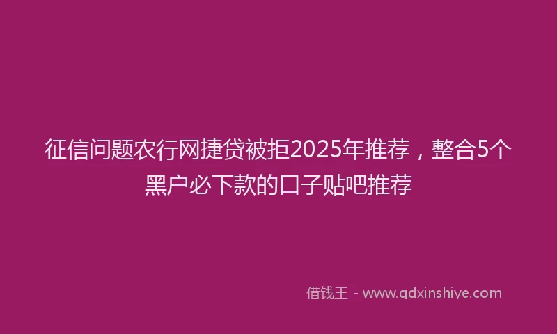征信问题农行网捷贷被拒2025年推荐，整合5个黑户必下款的口子贴吧推荐