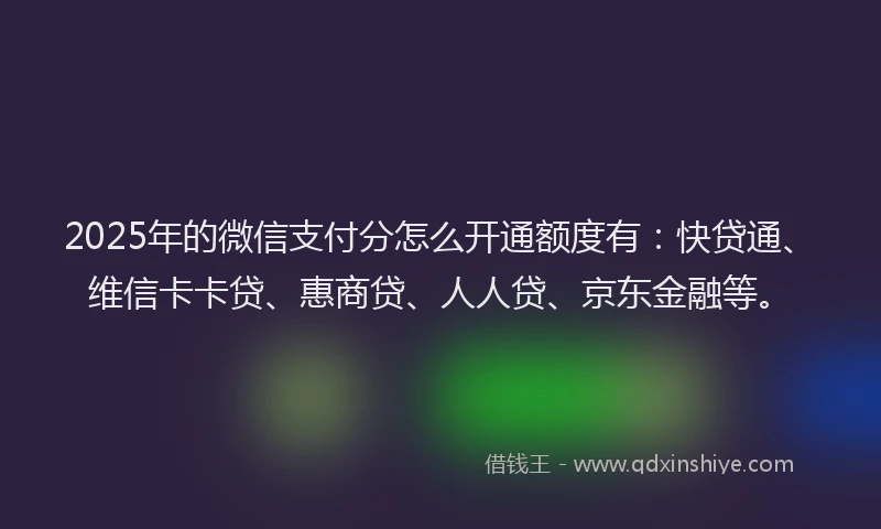 2025年的微信支付分怎么开通额度有：快贷通、维信卡卡贷、惠商贷、人人贷、京东金融等。