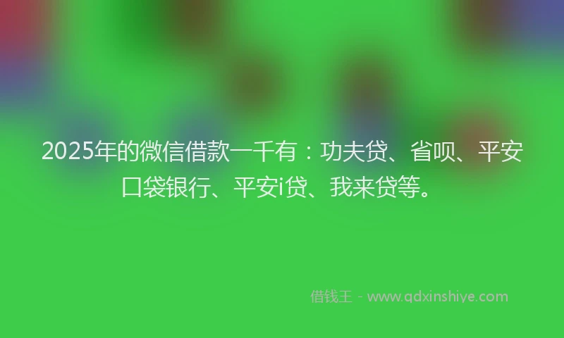 2025年的微信借款一千有：功夫贷、省呗、平安口袋银行、平安i贷、我来贷等。