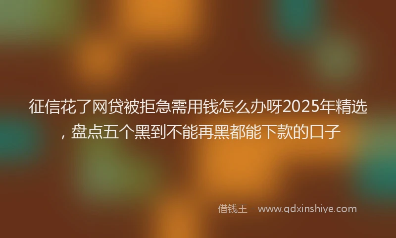 征信花了网贷被拒急需用钱怎么办呀2025年精选，盘点五个黑到不能再黑都能下款的口子