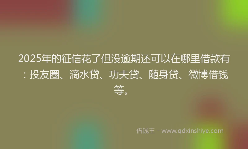2025年的征信花了但没逾期还可以在哪里借款有：投友圈、滴水贷、功夫贷、随身贷、微博借钱等。