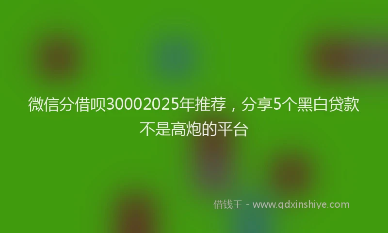 微信分借呗30002025年推荐，分享5个黑白贷款不是高炮的平台