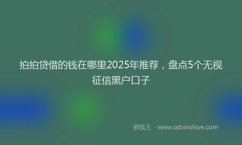 拍拍贷借的钱在哪里2025年推荐，盘点5个无视征信黑户口子