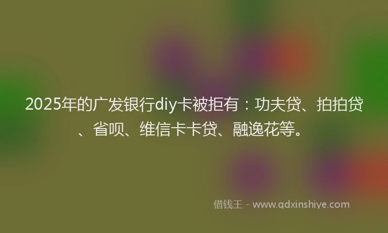 2025年的广发银行diy卡被拒有：功夫贷、拍拍贷、省呗、维信卡卡贷、融逸花等。