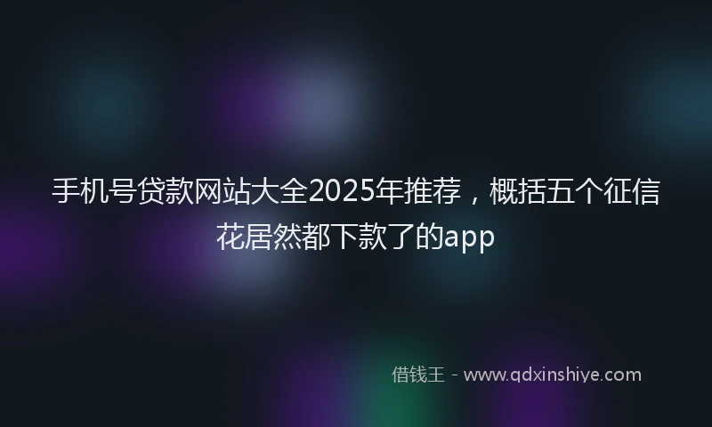 手机号贷款网站大全2025年推荐，概括五个征信花居然都下款了的app