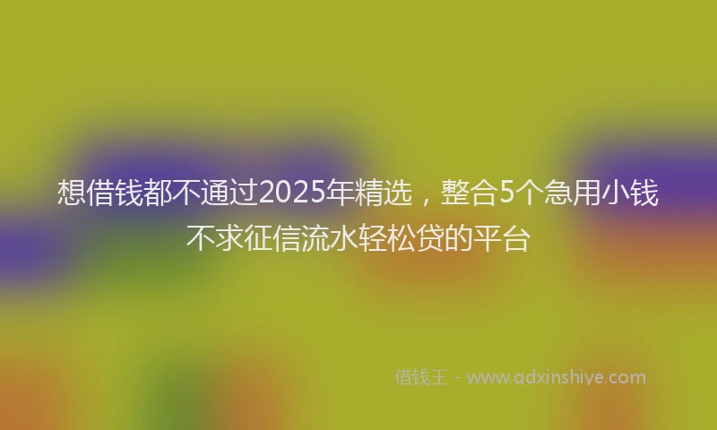 想借钱都不通过2025年精选，整合5个急用小钱不求征信流水轻松贷的平台