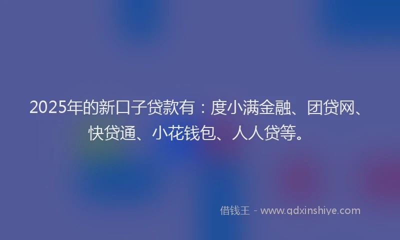 2025年的新口子贷款有：度小满金融、团贷网、快贷通、小花钱包、人人贷等。