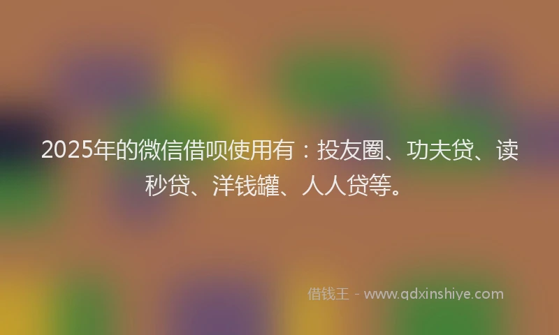 2025年的微信借呗使用有：投友圈、功夫贷、读秒贷、洋钱罐、人人贷等。