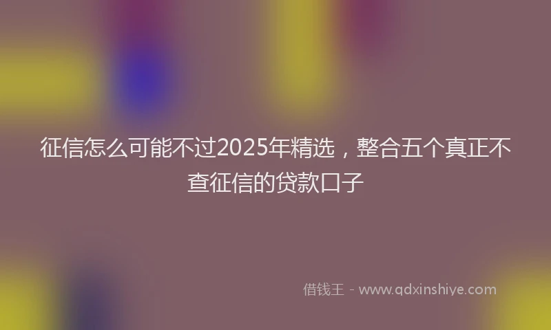 征信怎么可能不过2025年精选，整合五个真正不查征信的贷款口子