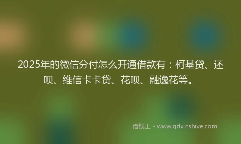 2025年的微信分付怎么开通借款有：柯基贷、还呗、维信卡卡贷、花呗、融逸花等。