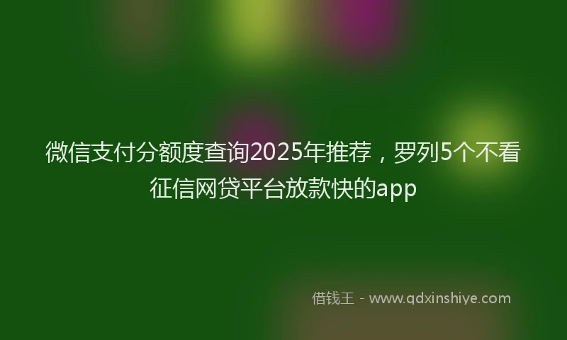微信支付分额度查询2025年推荐，罗列5个不看征信网贷平台放款快的app