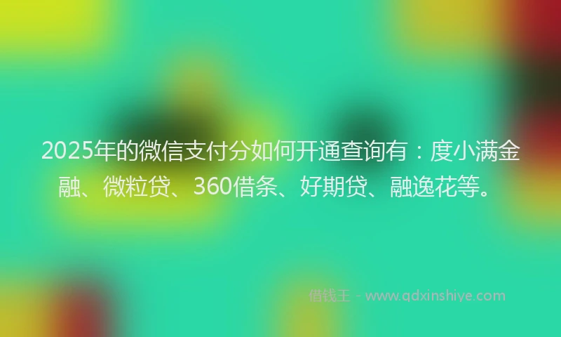 2025年的微信支付分如何开通查询有：度小满金融、微粒贷、360借条、好期贷、融逸花等。