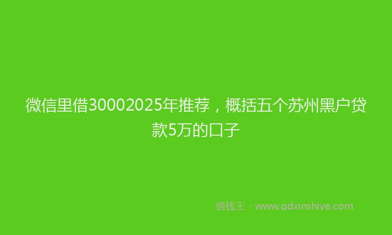 微信里借30002025年推荐，概括五个苏州黑户贷款5万的口子