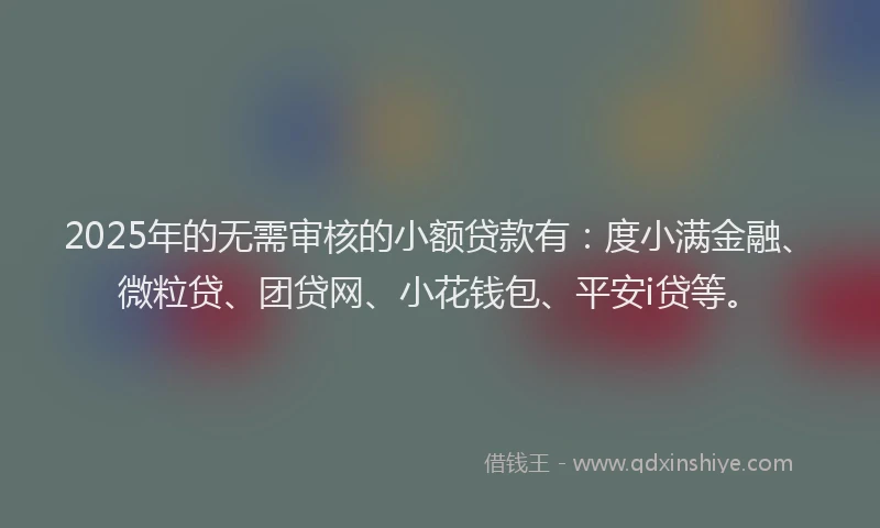 2025年的无需审核的小额贷款有：度小满金融、微粒贷、团贷网、小花钱包、平安i贷等。