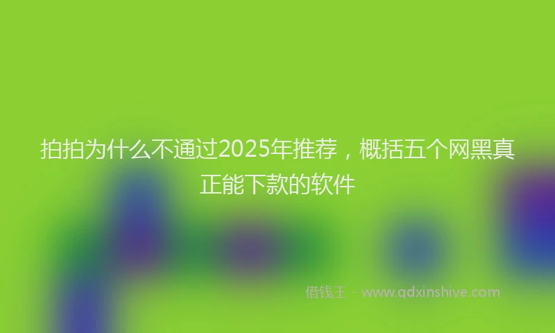 拍拍为什么不通过2025年推荐，概括五个网黑真正能下款的软件
