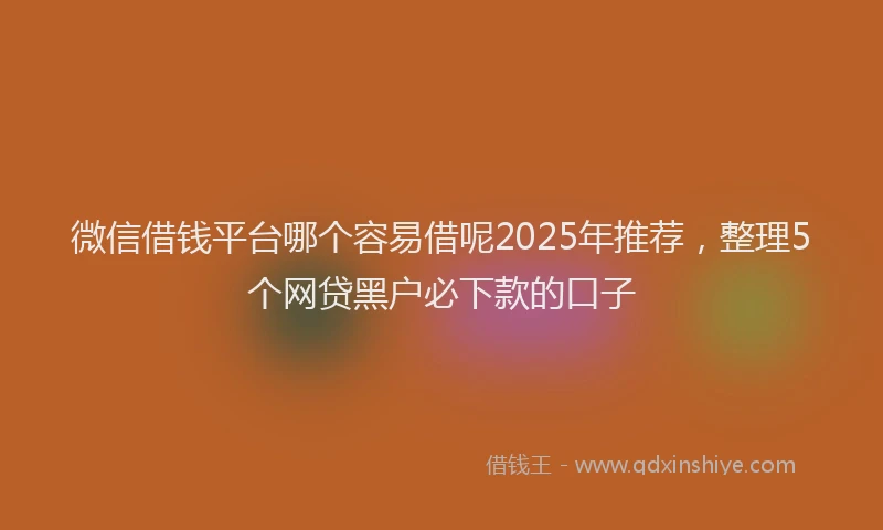 微信借钱平台哪个容易借呢2025年推荐，整理5个网贷黑户必下款的口子