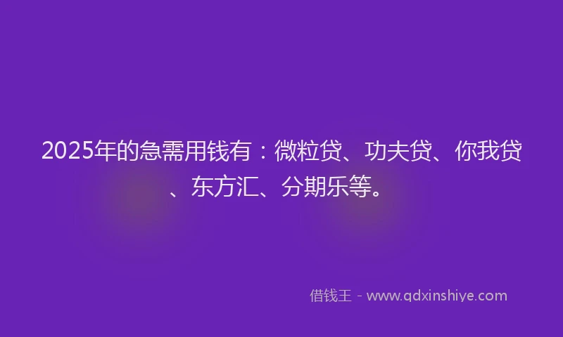 2025年的急需用钱有：微粒贷、功夫贷、你我贷、东方汇、分期乐等。