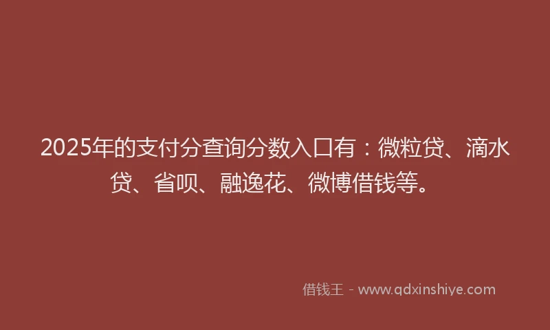 2025年的支付分查询分数入口有：微粒贷、滴水贷、省呗、融逸花、微博借钱等。